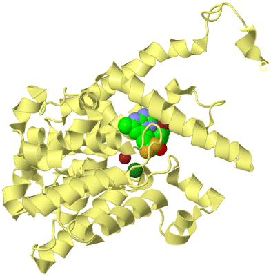 Image Biological Unit 4