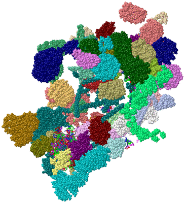 Image Asym./Biol. Unit