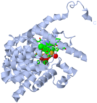 Image Biol. Unit 1 - sites