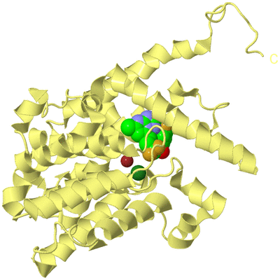 Image Biological Unit 4