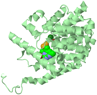 Image Biological Unit 2