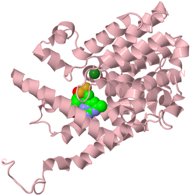 Image Biological Unit 3