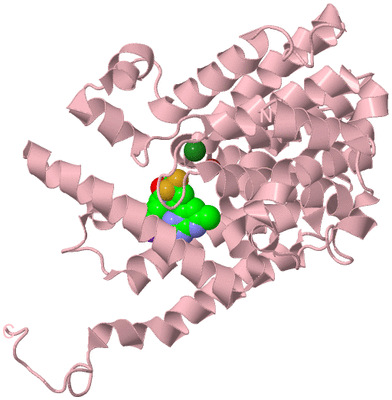 Image Biological Unit 3