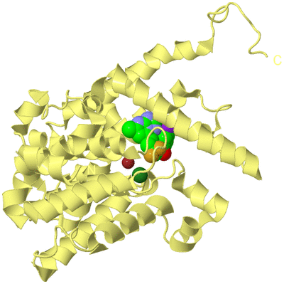 Image Biological Unit 4