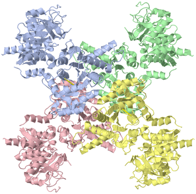 Image Asym./Biol. Unit