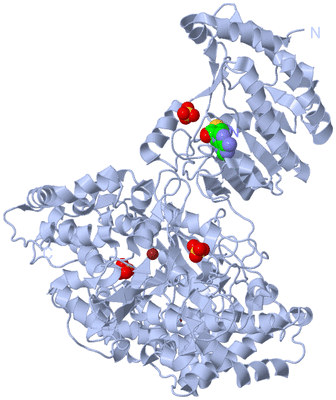 Image Biological Unit 1