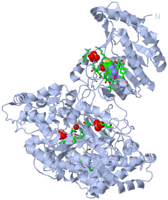 Image Biol. Unit 1 - sites