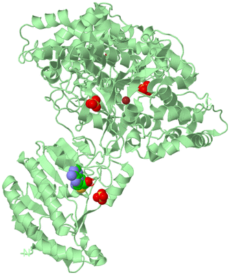 Image Biological Unit 2