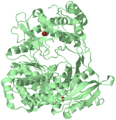 Image Biological Unit 2