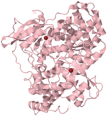 Image Biological Unit 3