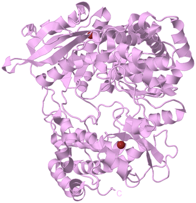 Image Biological Unit 5