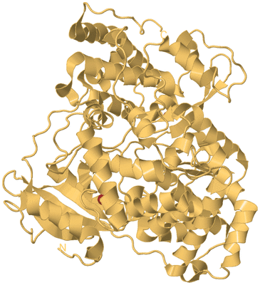 Image Biological Unit 7