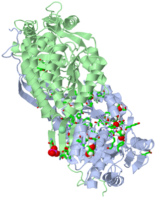 Image Asym./Biol. Unit - sites