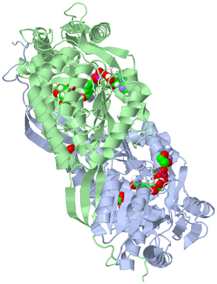 Image Asym./Biol. Unit