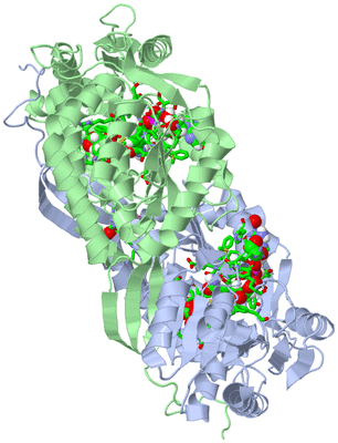 Image Asym./Biol. Unit - sites