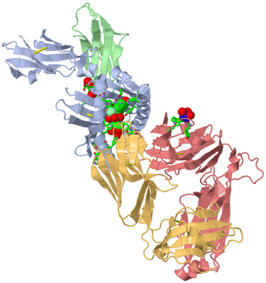 Image Biol. Unit 1 - sites