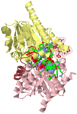 Image Biol. Unit 1 - sites