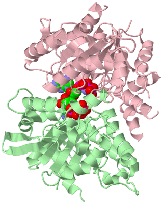 Image Biological Unit 1