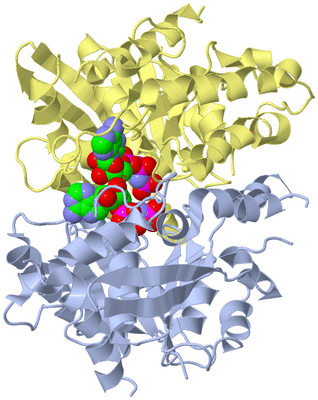 Image Biological Unit 2