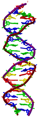 Image Biological Unit 3