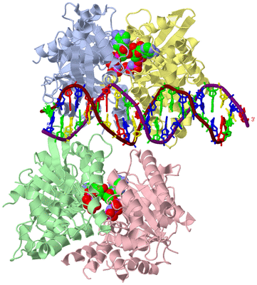 Image Biological Unit 4