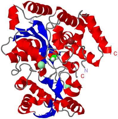 Image Asym./Biol. Unit