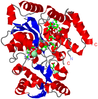 Image Asym./Biol. Unit - sites