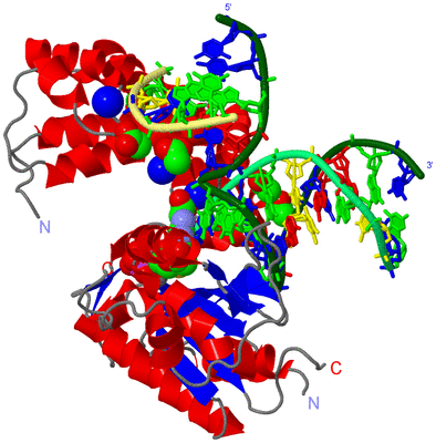 Image Asym./Biol. Unit