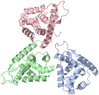 Image Asymmetric Unit