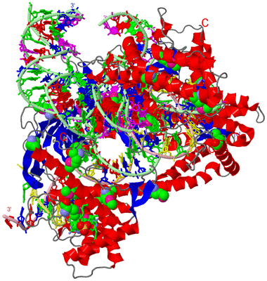 Image Asym./Biol. Unit - sites