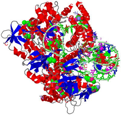 Image Asym./Biol. Unit