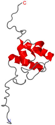 Image NMR Structure - model 1