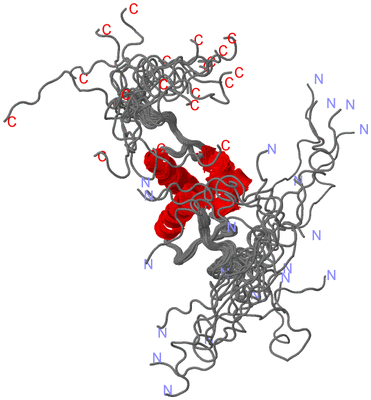 Image NMR Structure - all models