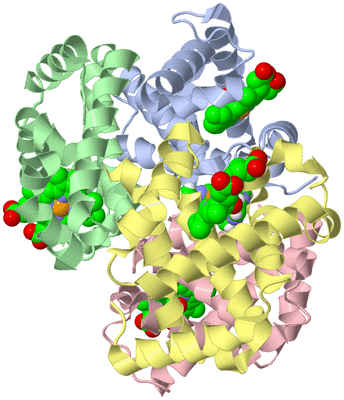 Image Biological Unit 1