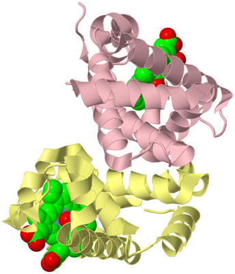 Image Biological Unit 3