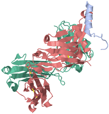 Image Asym./Biol. Unit