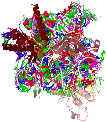 Image Asym./Biol. Unit