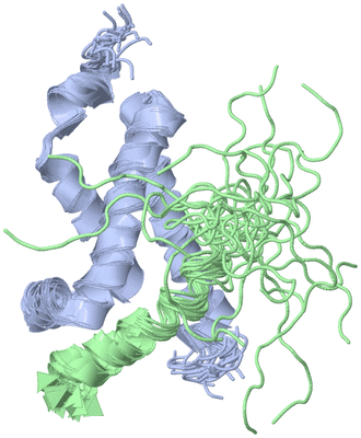 Image NMR Structure - all models