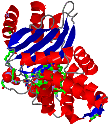 Image Asym./Biol. Unit - sites