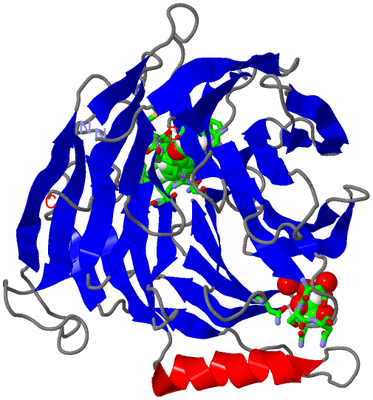 Image Asym./Biol. Unit - sites