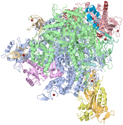 Image Asym./Biol. Unit