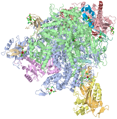 Image Asym./Biol. Unit - sites