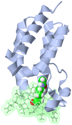 Image NMR Structure - model 1