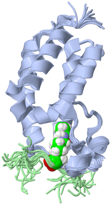 Image NMR Structure - all models