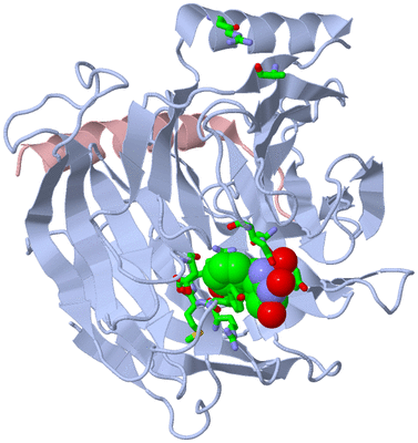 Image Biol. Unit 1 - sites