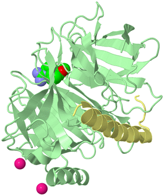 Image Biological Unit 2