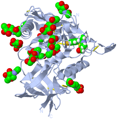 Image Biological Unit 1