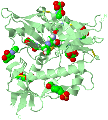 Image Biological Unit 2