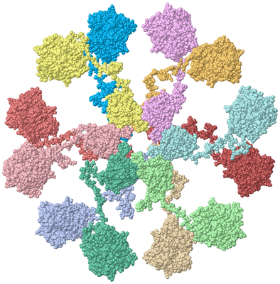 Image Asym./Biol. Unit