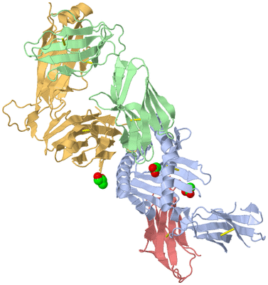 Image Biological Unit 1